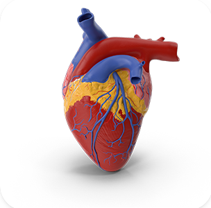 CARDIOLOGY