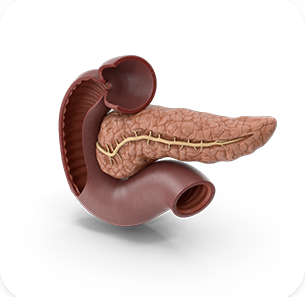 ENDOCRINOLOGY