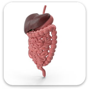 GASTROENTEROLOGY