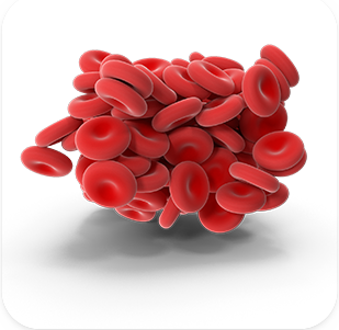 HEMATOLOGY