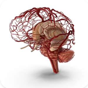 NEUROLOGY