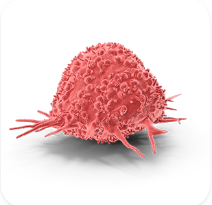 ONCOLOGY