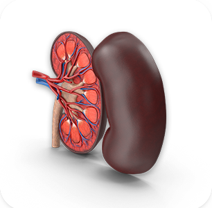UROLOGY